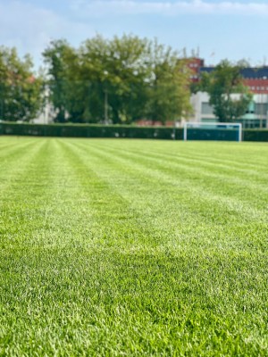 Strefa Piłkarza baza treningowa